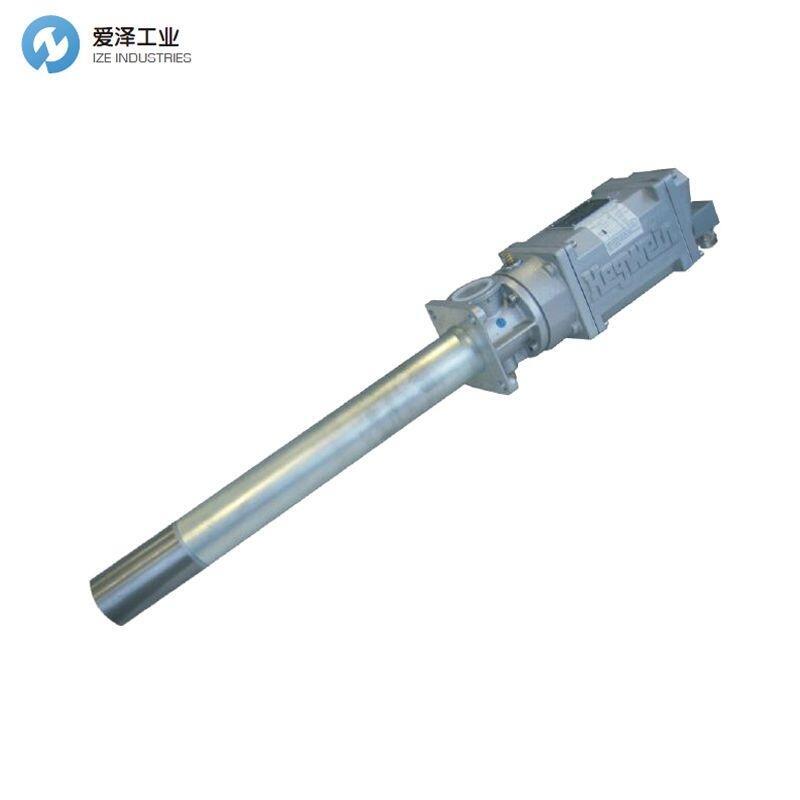 HEGWEIN燃?xì)恻c(diǎn)火器ZA0-80N/HEG00683