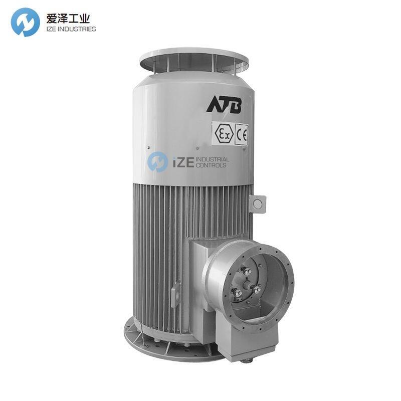 ATB電機(jī)CD100L2-4Y3_2