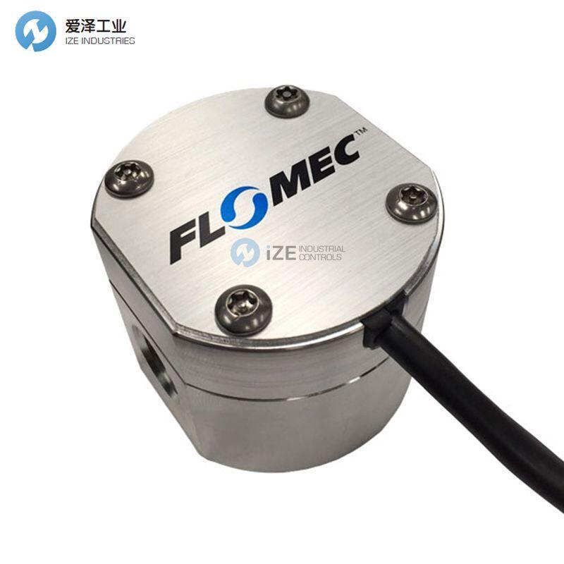 FLOMEC流量計EGM020A001-811